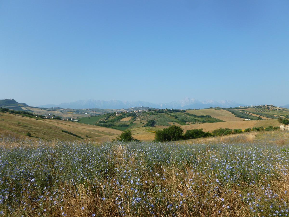 Il Frutteto Bed And Breakfast Ripattone Zewnętrze zdjęcie