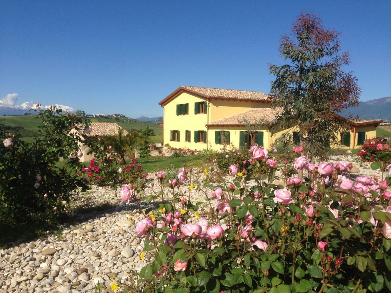 Il Frutteto Bed And Breakfast Ripattone Zewnętrze zdjęcie